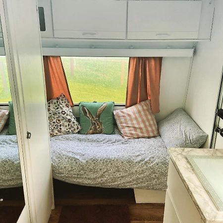 Cosy Caravan At Carrigeen Glamping คิลเคนนี ภายนอก รูปภาพ