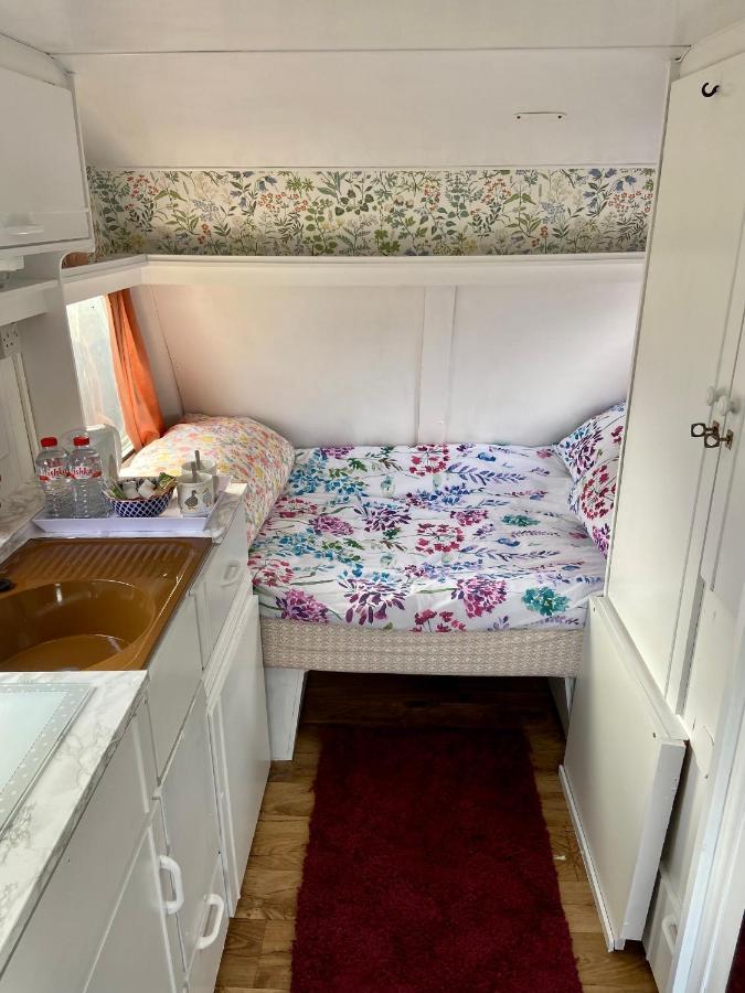 Cosy Caravan At Carrigeen Glamping Hotel คิลเคนนี ภายนอก รูปภาพ