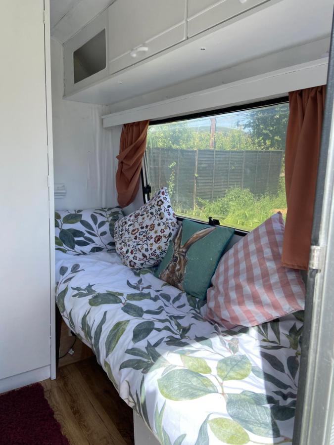 Cosy Caravan At Carrigeen Glamping Hotel คิลเคนนี ภายนอก รูปภาพ